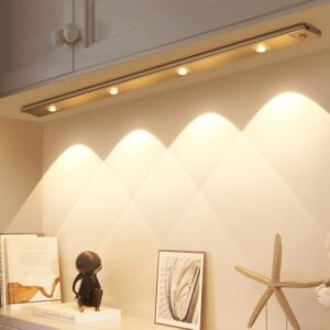 Motion Sensor LED Light